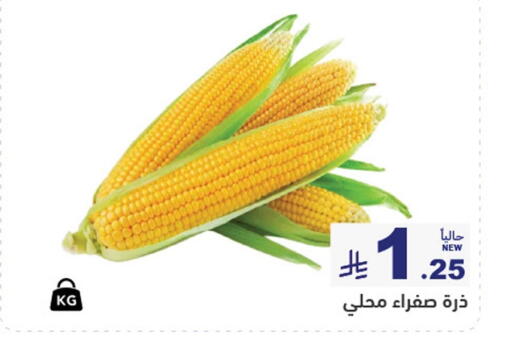 available at أسواق رامز in مملكة العربية السعودية, السعودية, سعودية - الرياض