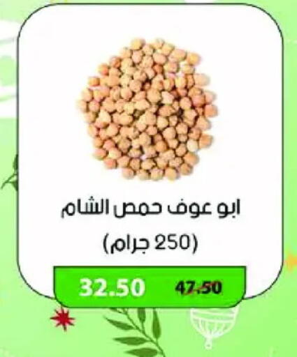 available at Royal House in Egypt - Cairo