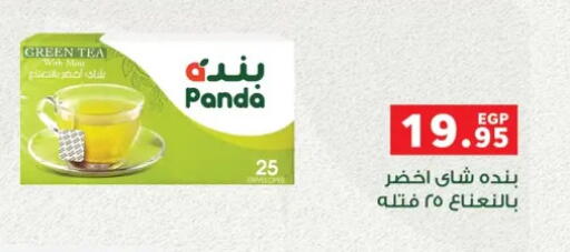 available at بنده in Egypt - القاهرة