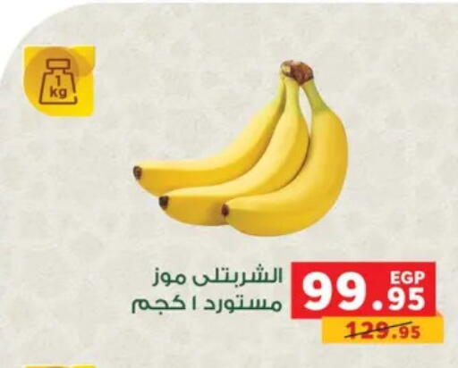 available at Panda  in Egypt - Cairo