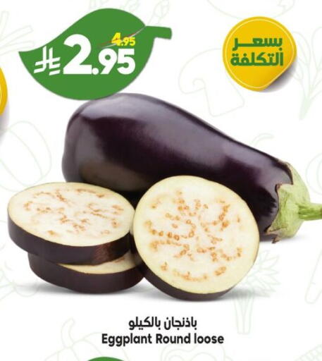 Eggplant available at الدكان in مملكة العربية السعودية, السعودية, سعودية - المدينة المنورة