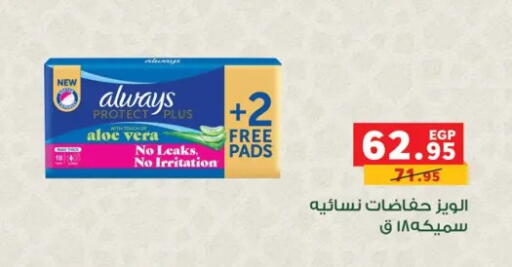 available at بنده in Egypt - القاهرة