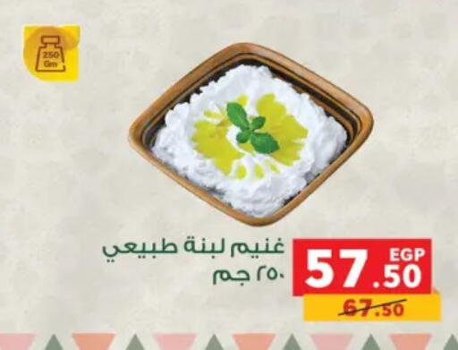 available at بنده in Egypt - القاهرة