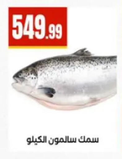 available at المحلاوي ستورز in Egypt - القاهرة