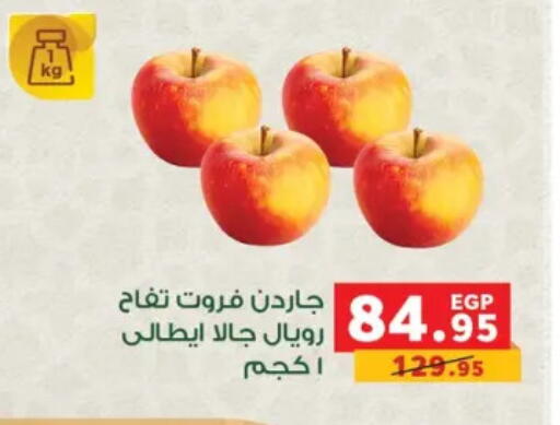 available at Panda  in Egypt - Cairo