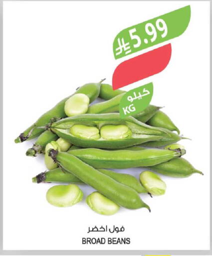 available at المزرعة in مملكة العربية السعودية, السعودية, سعودية - الخرج