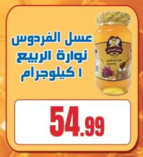 available at المحلاوي ستورز in Egypt - القاهرة