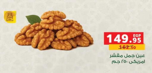 available at بنده in Egypt - القاهرة