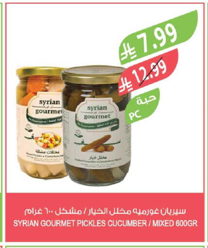 Cucumber available at Farm  in KSA, Saudi Arabia, Saudi - Riyadh