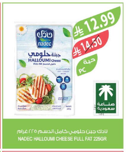 Date available at Farm  in KSA, Saudi Arabia, Saudi - Yanbu