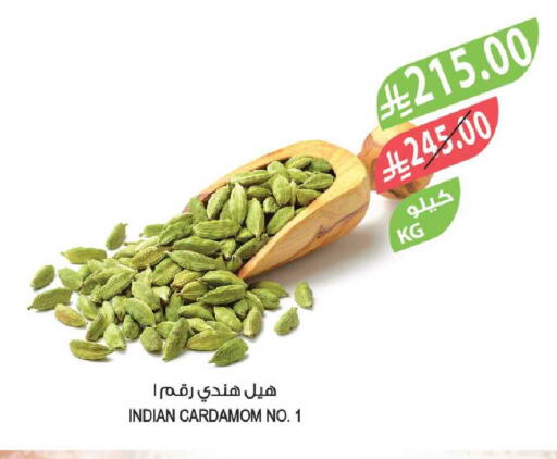 Cardamom available at Farm  in KSA, Saudi Arabia, Saudi - Riyadh