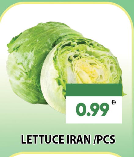 Lettuce from Iran available at Leptis Hypermarket  in UAE - Al Ain