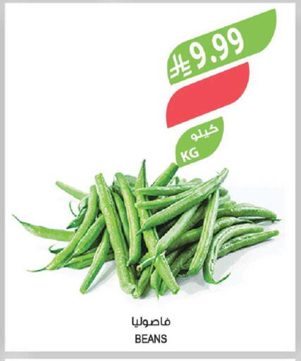 available at Farm  in KSA, Saudi Arabia, Saudi - Yanbu