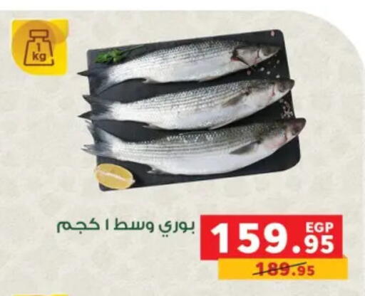 available at بنده in Egypt - القاهرة