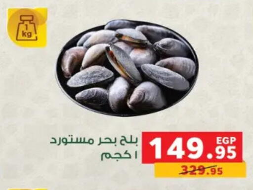 available at بنده in Egypt - القاهرة
