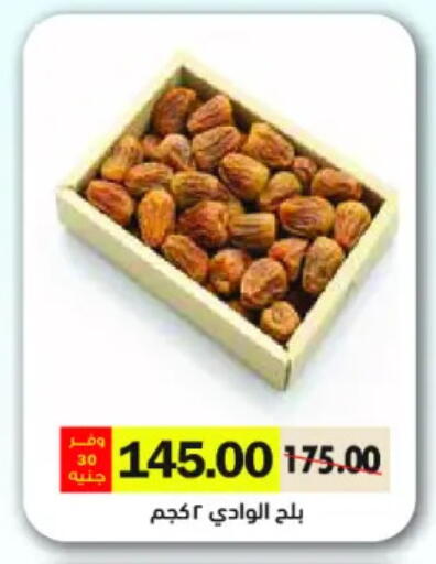 available at رويال هاوس in Egypt - القاهرة