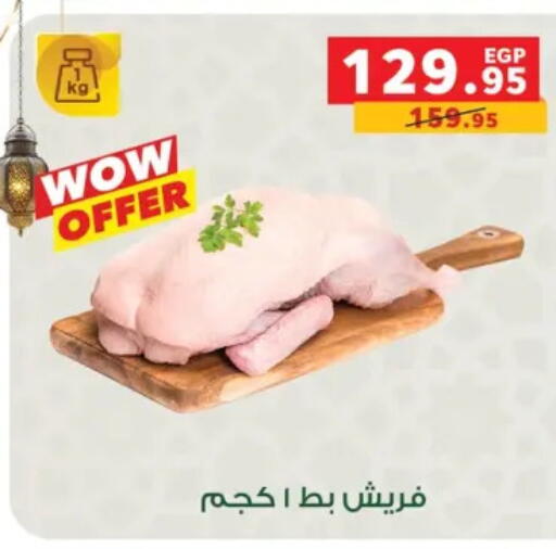 available at بنده in Egypt - القاهرة