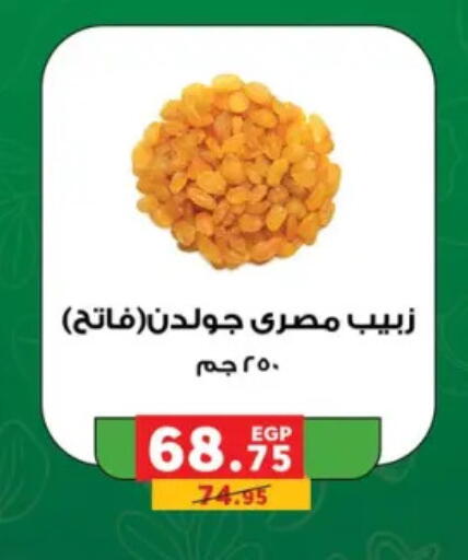 available at بنده in Egypt - القاهرة