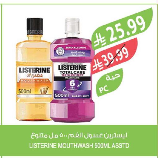 Mint available at Farm  in KSA, Saudi Arabia, Saudi - Riyadh