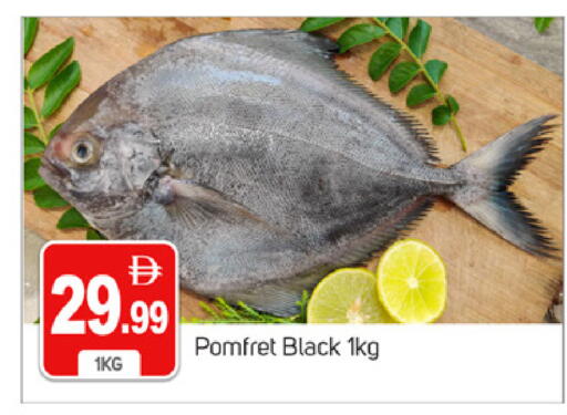 available at سوق طلال in الإمارات العربية المتحدة , الامارات - دبي