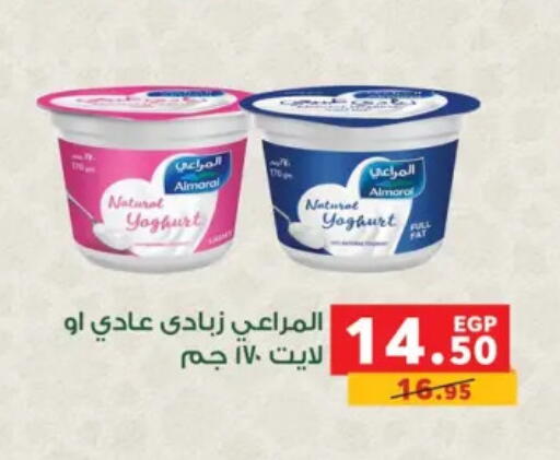 available at Panda  in Egypt - Cairo