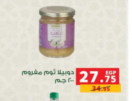 Garlic available at بنده in Egypt - القاهرة