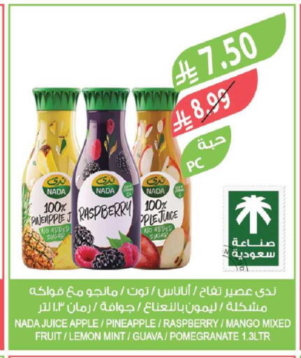 Raspberry Apple Pineapple Mango Lemon Guava Pomegranate Mint available at Farm  in KSA, Saudi Arabia, Saudi - Sakaka