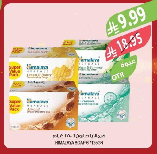 Turmeric Cucumber available at المزرعة in مملكة العربية السعودية, السعودية, سعودية - الخرج