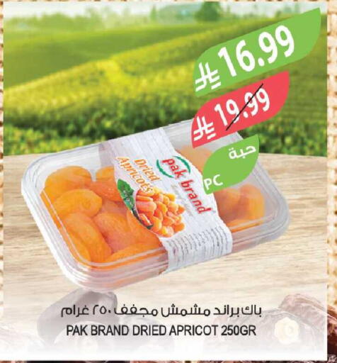 Apricot available at Farm  in KSA, Saudi Arabia, Saudi - Riyadh