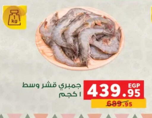 available at بنده in Egypt - القاهرة