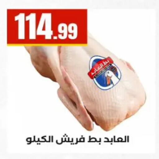 available at المحلاوي ستورز in Egypt - القاهرة