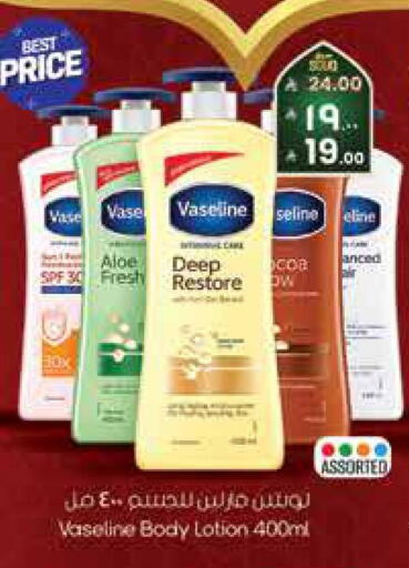 available at City Flower in KSA, Saudi Arabia, Saudi - Jubail