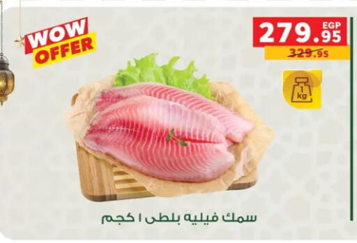 available at Panda  in Egypt - Cairo