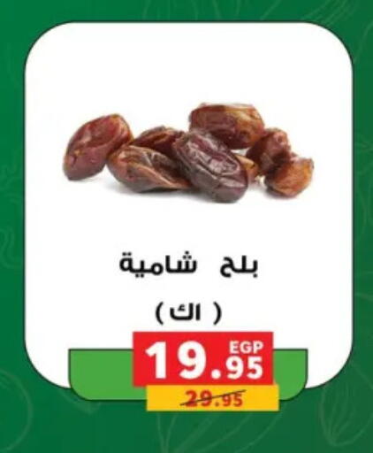 available at بنده in Egypt - القاهرة