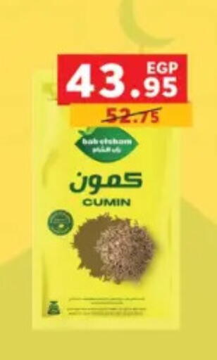 Cumin available at بنده in Egypt - القاهرة