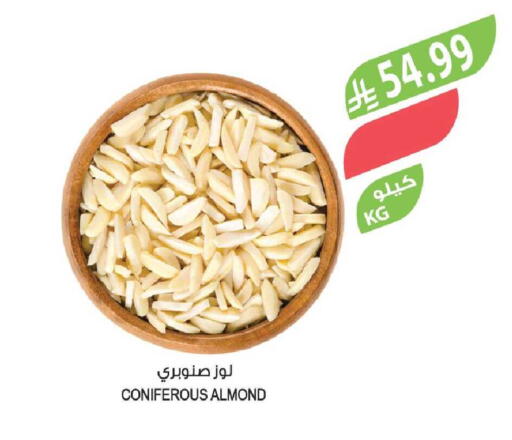 available at Farm  in KSA, Saudi Arabia, Saudi - Yanbu