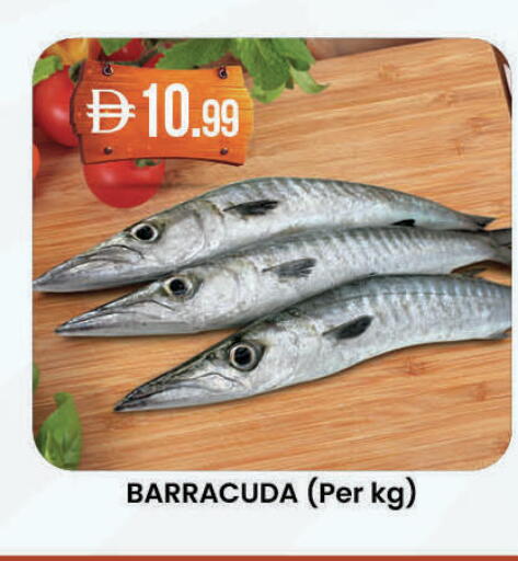 available at Safa Hyper in UAE - Abu Dhabi