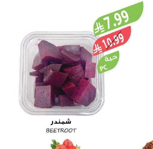 Beetroot available at المزرعة in مملكة العربية السعودية, السعودية, سعودية - تبوك
