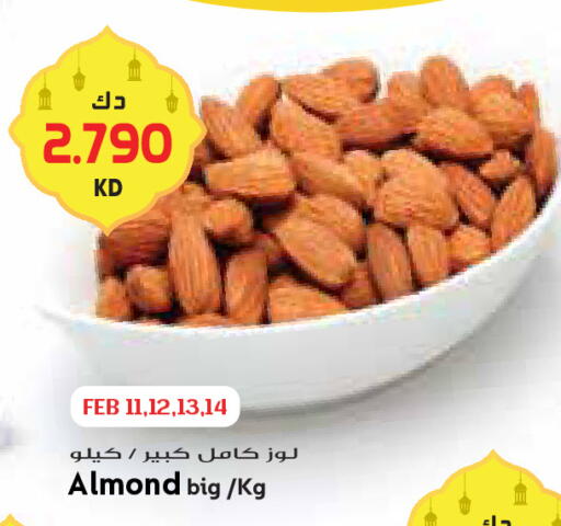 available at Grand Costo in Kuwait - Ahmadi Governorate