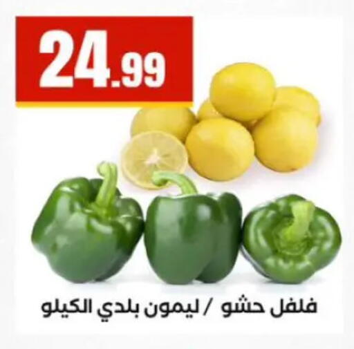 available at المحلاوي ستورز in Egypt - القاهرة