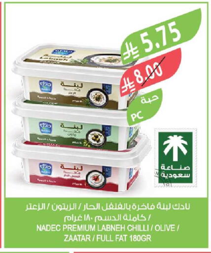 Chilli available at Farm  in KSA, Saudi Arabia, Saudi - Riyadh