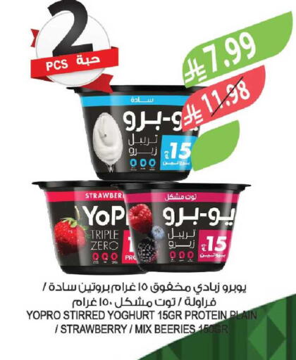 Strawberry available at المزرعة in مملكة العربية السعودية, السعودية, سعودية - ينبع