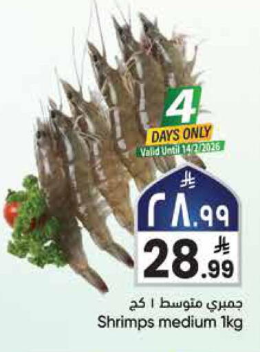 available at City Flower in KSA, Saudi Arabia, Saudi - Jubail