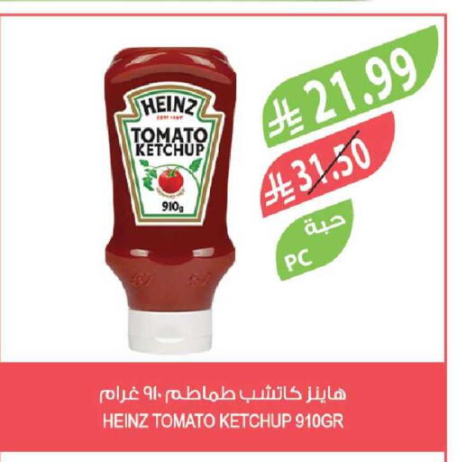 Tomato available at Farm  in KSA, Saudi Arabia, Saudi - Yanbu