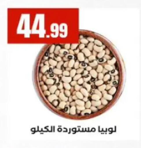 available at المحلاوي ستورز in Egypt - القاهرة