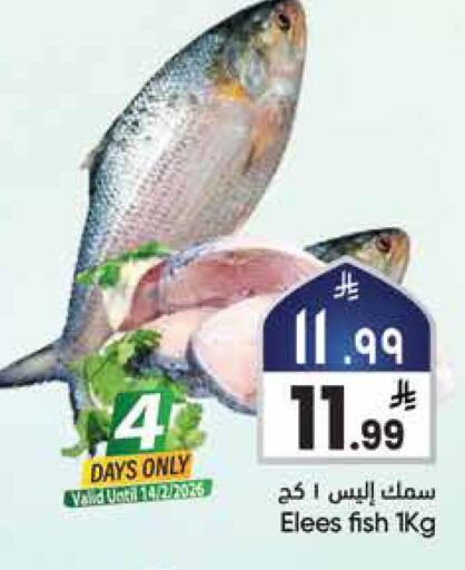 available at City Flower in KSA, Saudi Arabia, Saudi - Jubail