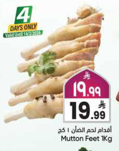 available at City Flower in KSA, Saudi Arabia, Saudi - Jubail