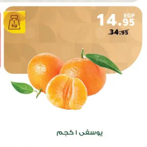 available at بنده in Egypt - القاهرة