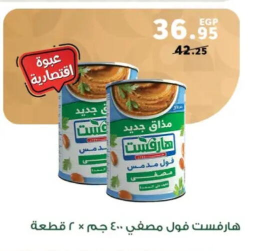 available at بنده in Egypt - القاهرة