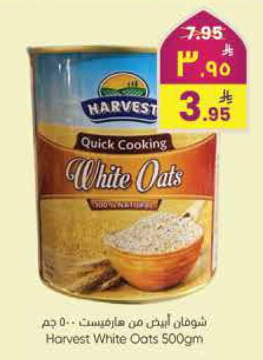 available at City Flower in KSA, Saudi Arabia, Saudi - Jubail